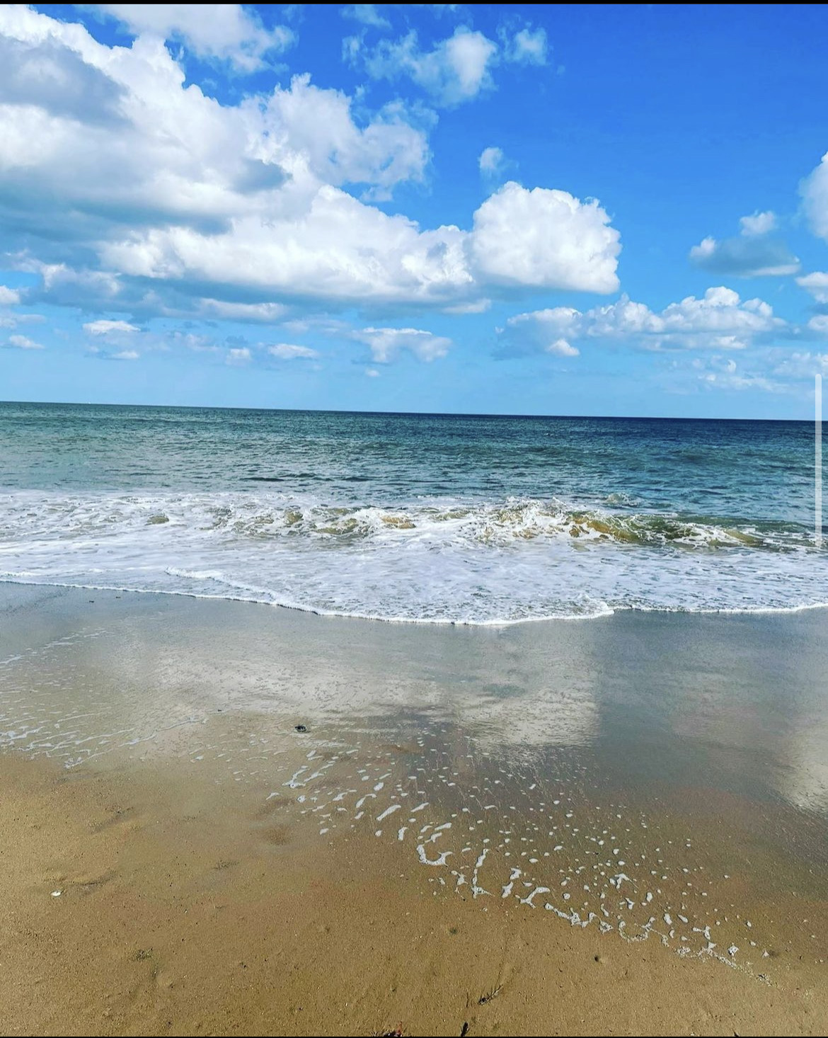 Blue Sky Green Field